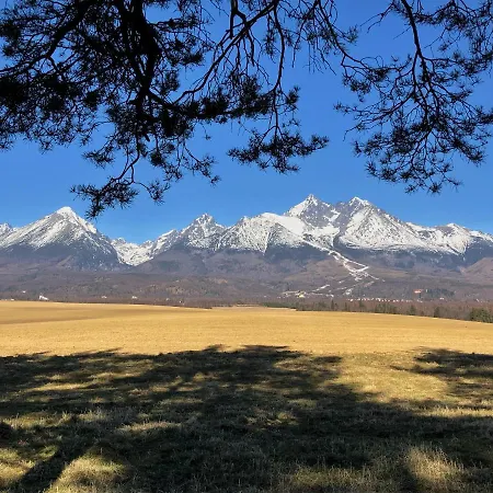 Vikendovy V Tatranskej Lomnici 아파트